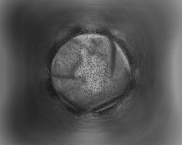 X0000089711253200707121406