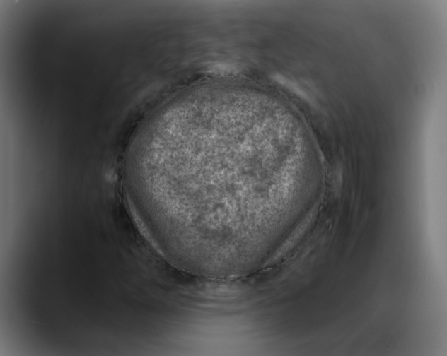 X0000089711254200707121406