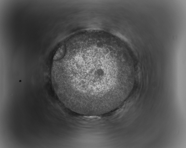 X0000089711255200707121406