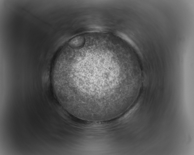 X0000089711259200707121406