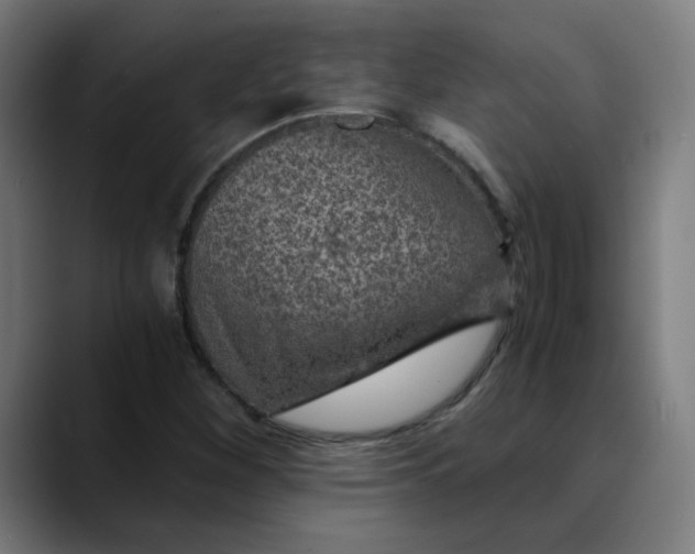 X0000089711260200707121406