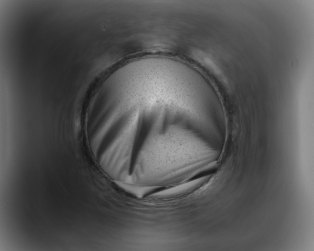 X0000089711261200707121406