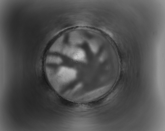 X0000089711263200707121406