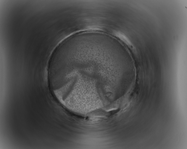 X0000089711268200707121406