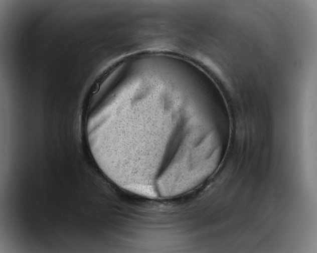 X0000089711270200707121406