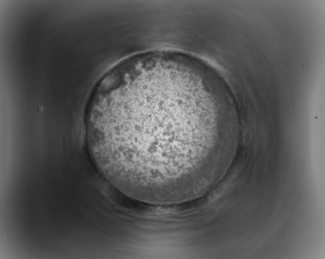 X0000089711271200707121406