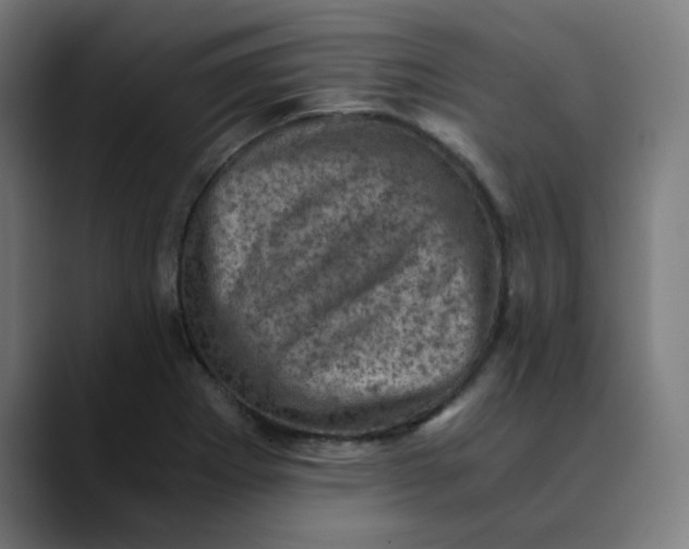 X0000089711273200707121406