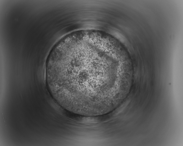 X0000089711275200707121406