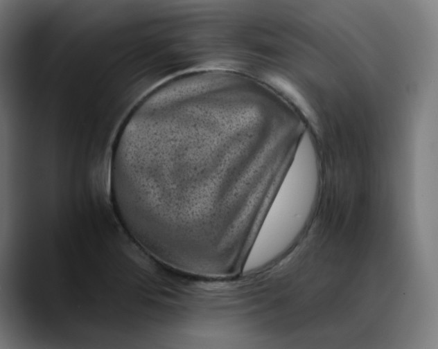 X0000089711276200707121406