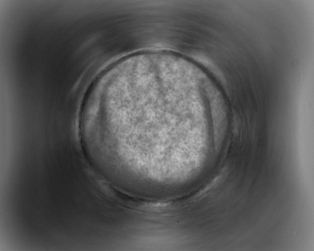 X0000089711278200707121406