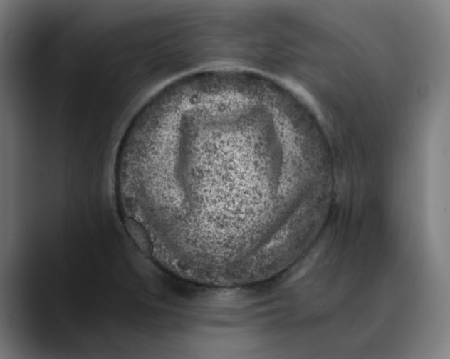 X0000089711279200707121406