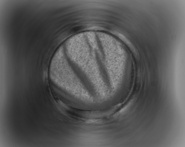 X0000089711281200707121406