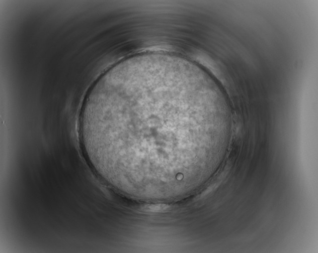 X0000089711282200707121406