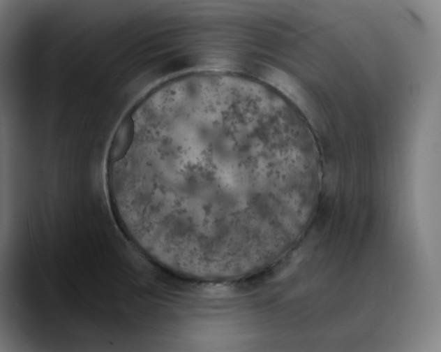 X0000089711283200707121406