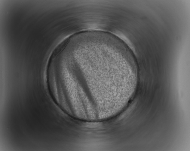 X0000089711285200707121406