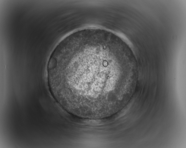 X0000089711287200707121406