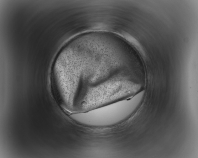 X0000089711288200707121406