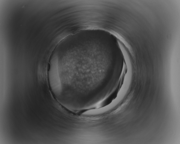 X0000089711289200707121406