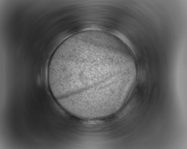 X0000089711290200707121406