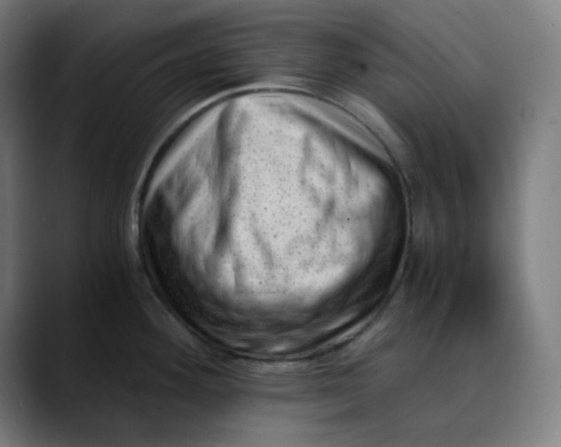 X0000089711292200707121406