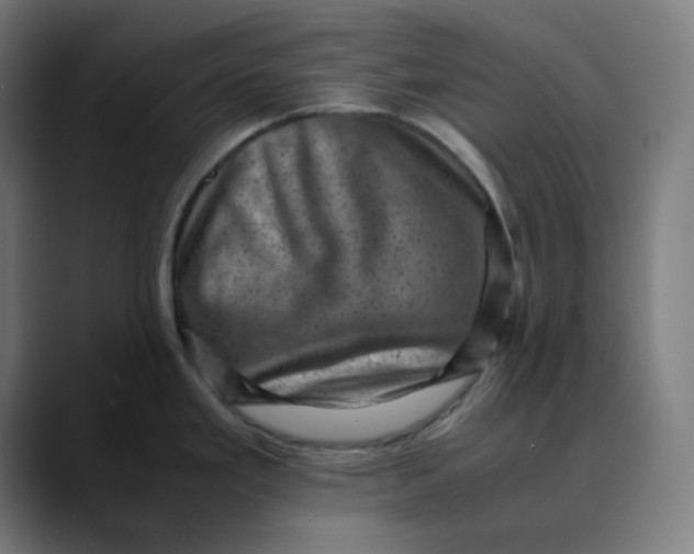 X0000089711293200707121406