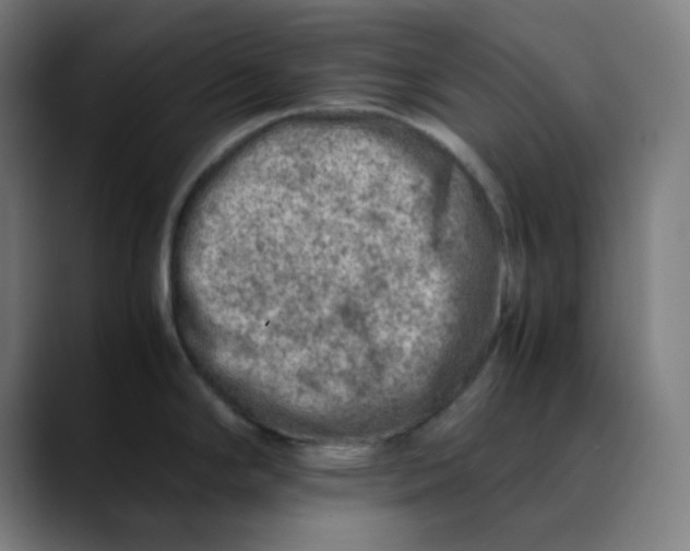 X0000089711294200707121406