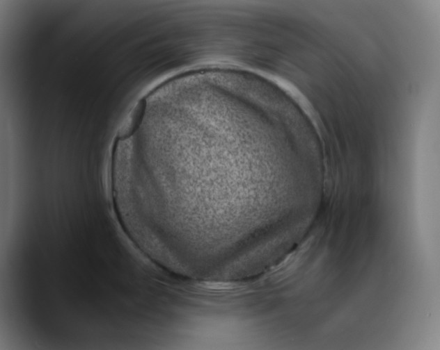 X0000089711295200707121406