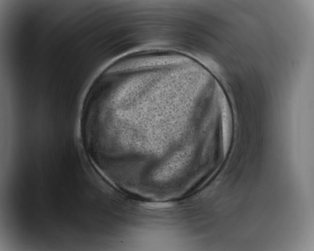 X0000089711296200707121406