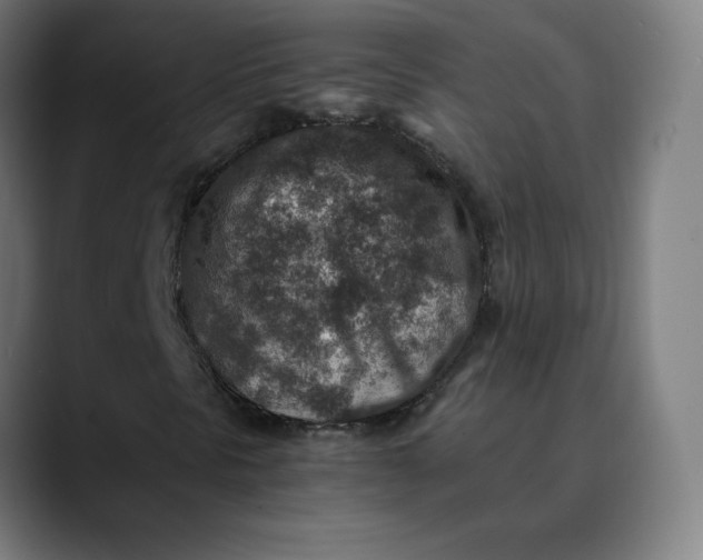 X0000089711297200707121405