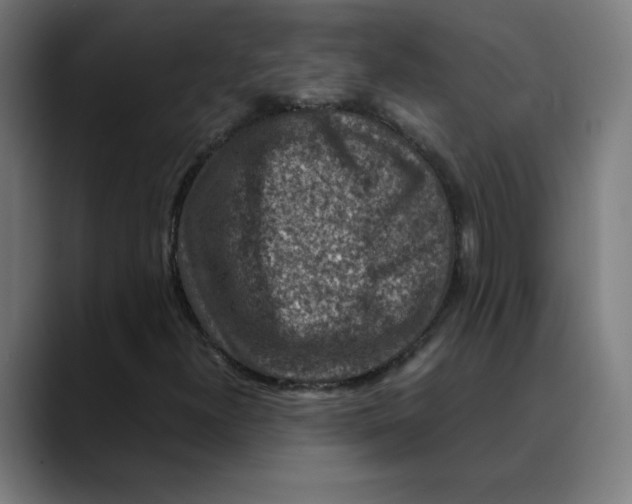 X0000089711300200707121405