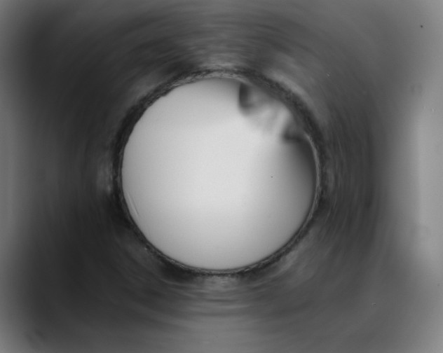 X0000089711306200707121405