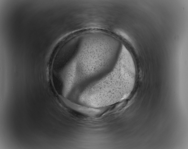 X0000089711310200707121405