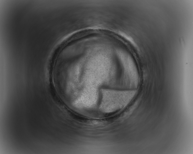 X0000089711311200707121405