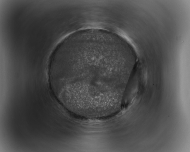 X0000089711312200707121405