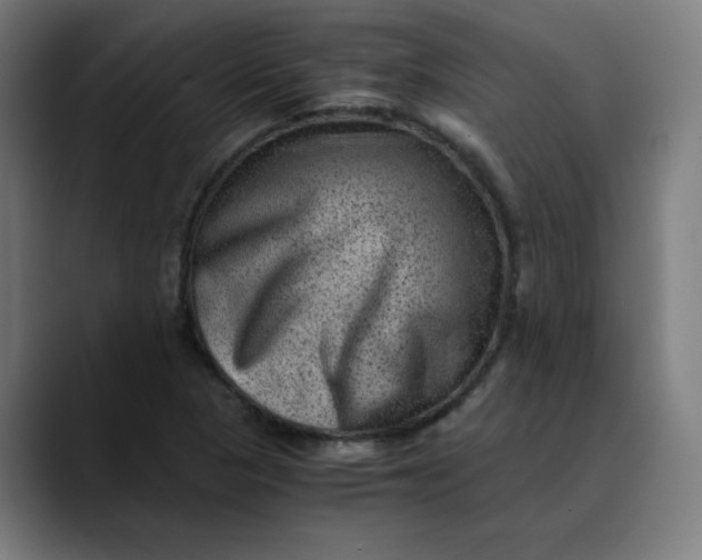 X0000089711313200707121405