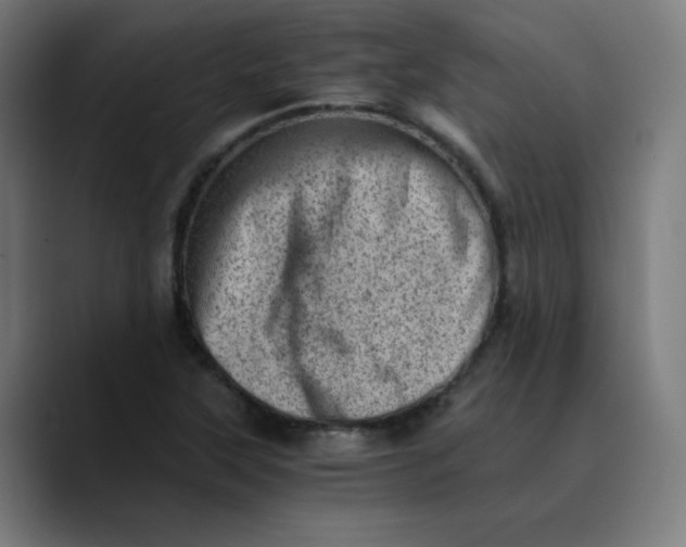 X0000089711315200707121405