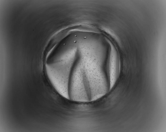 X0000089711316200707121405