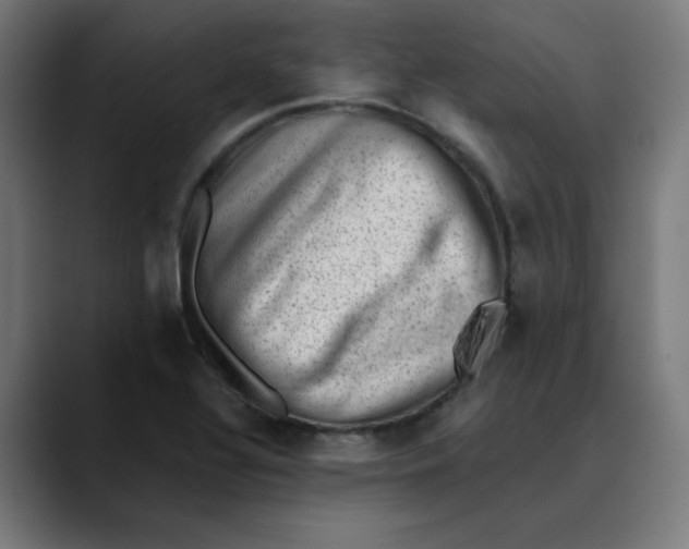 X0000089711320200707121405