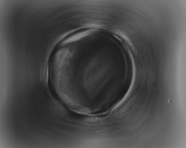 X0000089711323200707121405