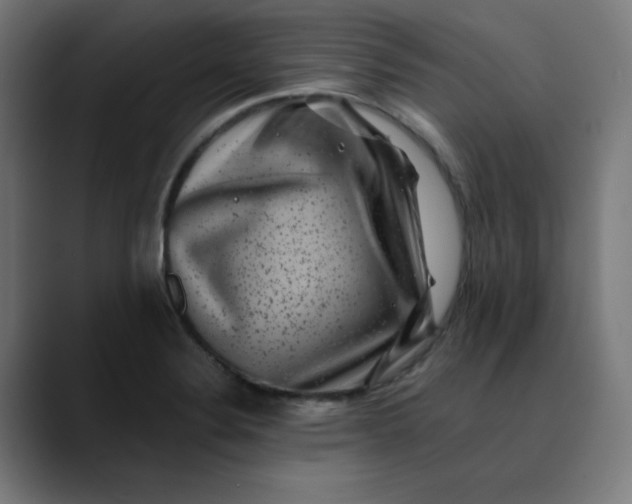 X0000089711324200707121405