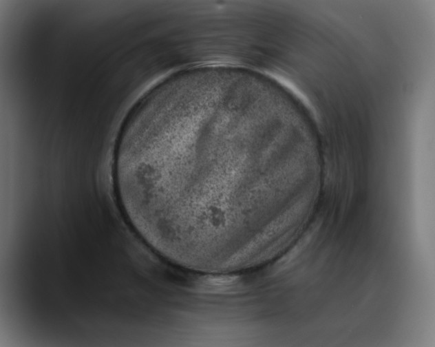 X0000089711325200707121405