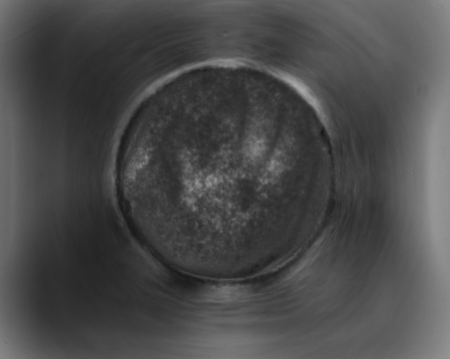 X0000089711327200707121406