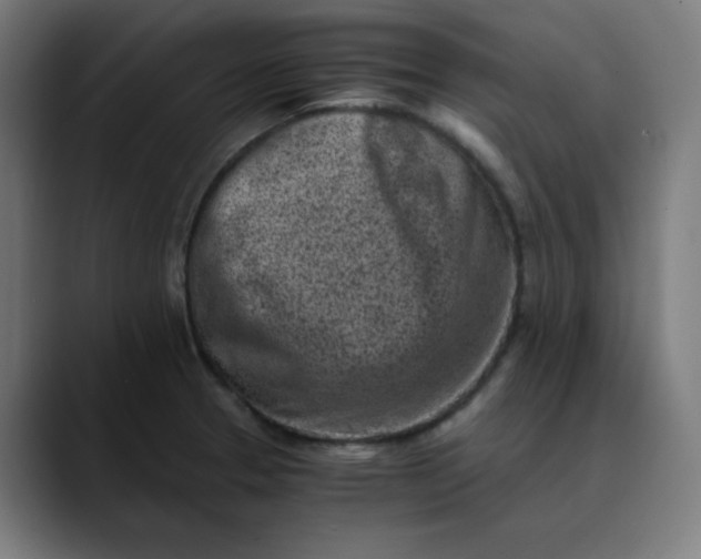 X0000089711329200707121406