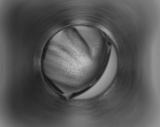 X0000089711330200707121406