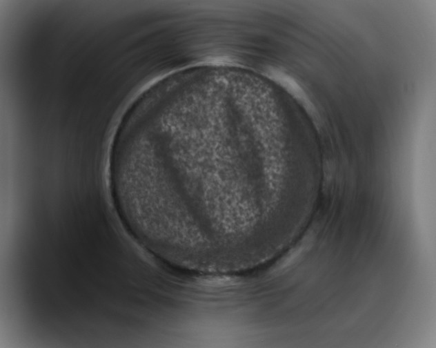 X0000089711331200707121406