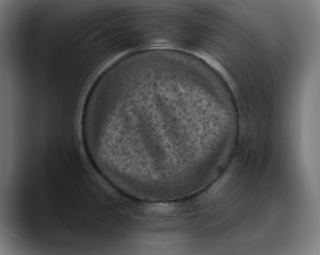 X0000089711333200707121406