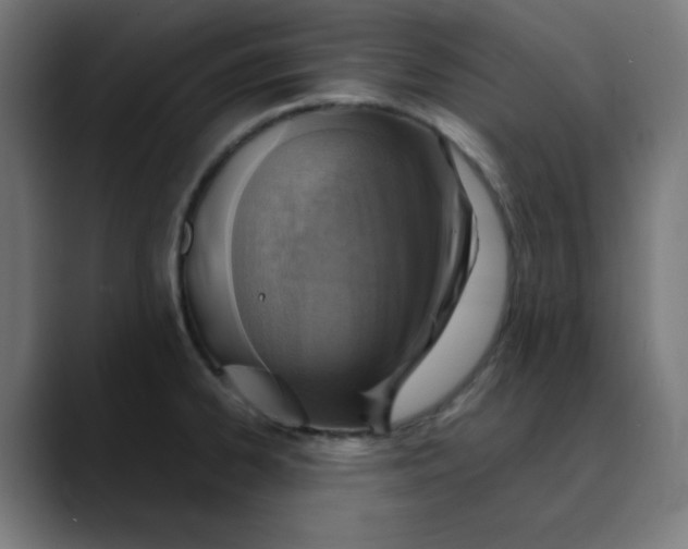 X0000089711334200707121406