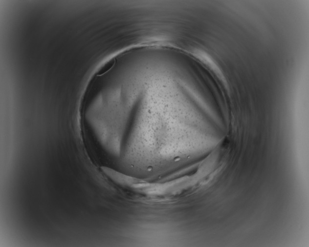 X0000089711336200707121406