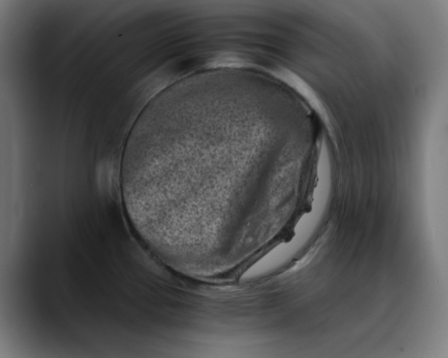 X0000089711337200707121406