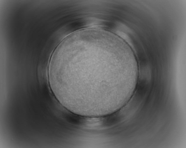 X0000089711338200707121406